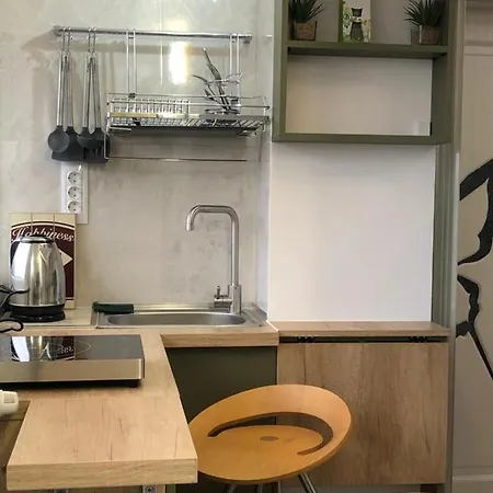 Brand New Downtown Studio Apartament