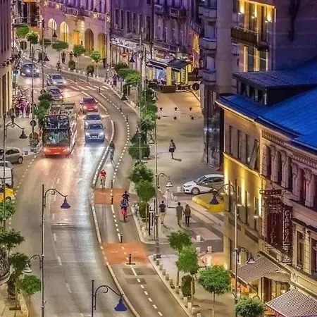 Brand New Downtown Studio Apartament *